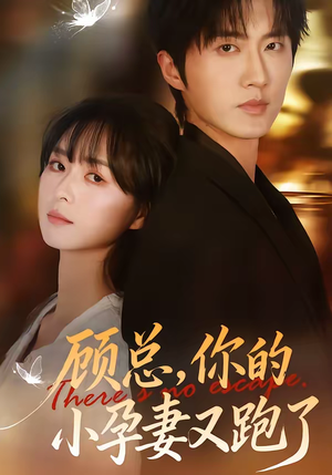 顾总，你的小孕妻又跑了（47集）真的太好看了短剧分享平台
