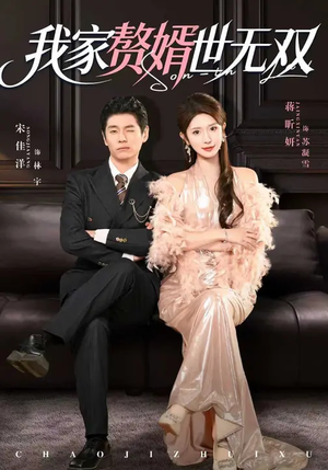 我家赘婿世无双（73集）穿越题材短剧免费看