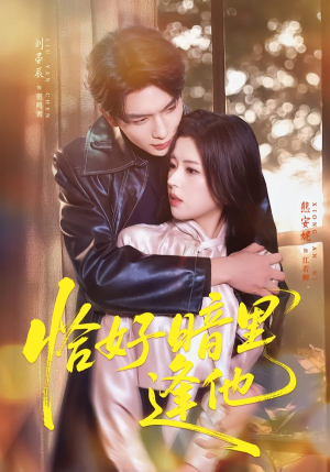 恰好暗里逢他（66集）好看的小短剧推荐