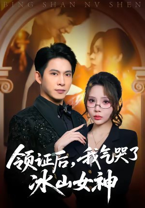 领证后，我气哭了冰山女神（60集）火爆热播短剧抢先看