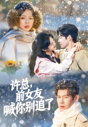 许总，前女友喊你别追了（80集）短剧来袭好看又上头的剧