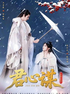 君心谋（80集）好看的短剧又来了