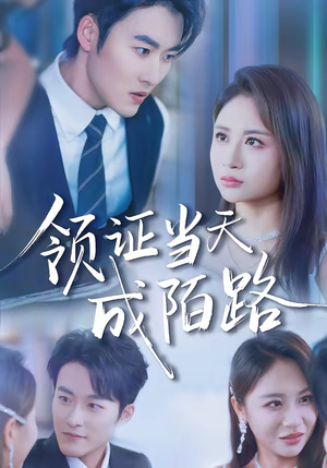 领证当天成陌路（39集）享受免费看短剧大结局