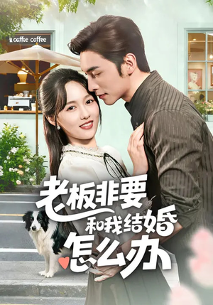 老板非要和我结婚怎么办（50集）热播短剧免费看