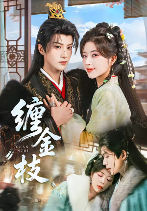 缠金枝（69集）在线观看全集免费短剧