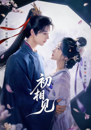初相见（76集）火爆短剧热播中