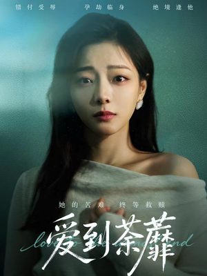 爱到荼蘼（63集）短剧追到爽热门短剧抢先看