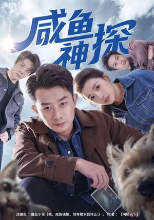 咸鱼神探（80集）在哪里可以看全集短剧