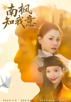 南枫知我意（41集）短剧超清全集在线看