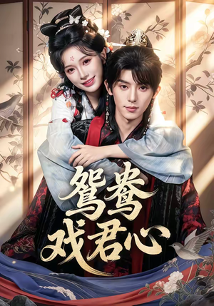 鸳鸯戏君心（60集）短剧合集杜比音效版