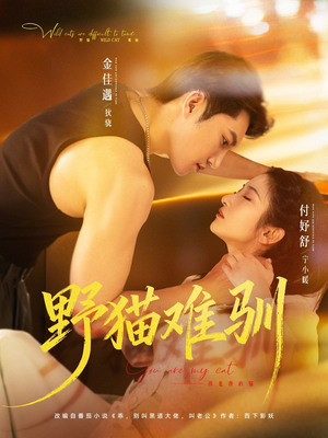 野猫难驯（73集）全集免费观看的短剧资源