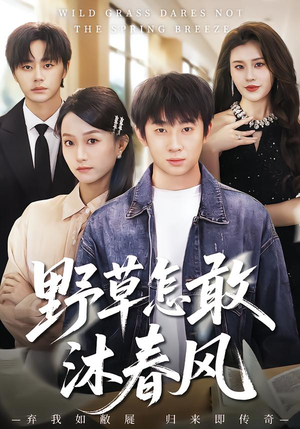 野草怎敢沐春风（61集）排行榜前十的短剧推荐