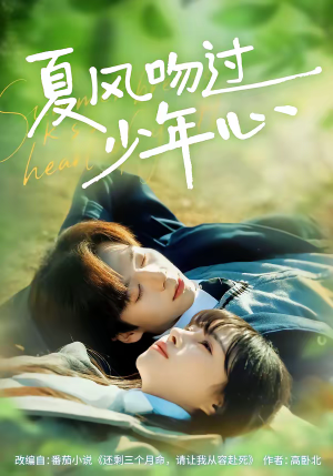 夏风吻过少年心（76集）短剧完整版大结局