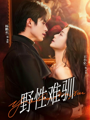 驯野2（81集）火爆热门短剧来袭好看又上头