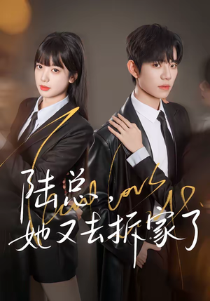 陆总，她又去拆家了（80集）真的太精彩了短剧合集