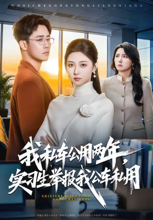 我私车公用两年，实习生举报我公车私用（63集）番茄短剧免费看