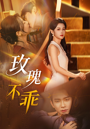 玫瑰不乖（69集）让你一口气看完短剧