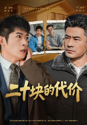 二十块的代价（64集）好看的短剧同大家分享