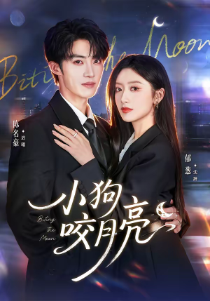 小狗咬月亮（66集）热门火爆短剧推荐