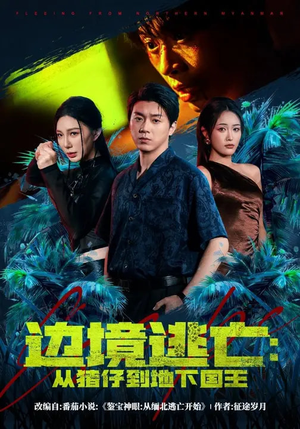 边境逃亡：从猪仔到地下国王（81集）热门短剧抢先看