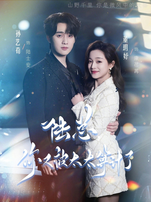 陆总，你又被太太算计了（70集）看短剧放松一下