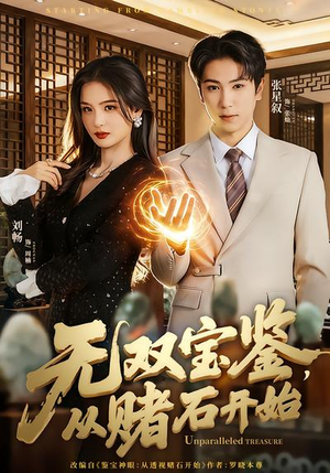 无双宝鉴，从赌石开始（70集）热播短剧追不停