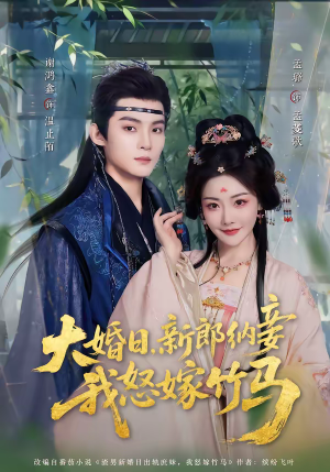 大婚日，新郎纳妾我怒嫁竹马（80集）排行榜前十短剧