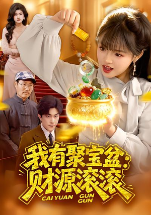 我有聚宝盆：财源滚滚（101集）百看不厌的精彩短剧分享