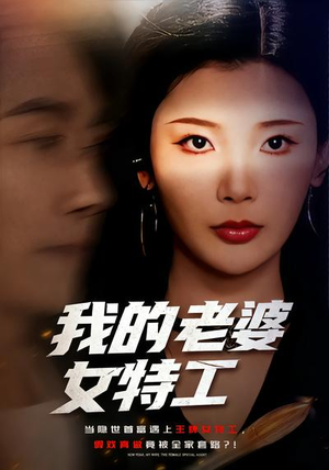 我的老婆女特工（62集）剧好看短剧推荐