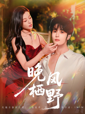 晚风栖野（80集）这个短剧太好看了