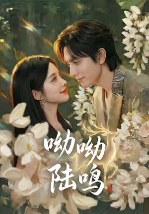 呦呦陆鸣（67集）热门短剧免费观看