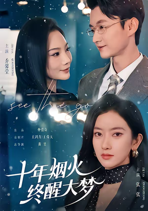 十年烟火，终醒大梦（60集）一起追生活短剧
