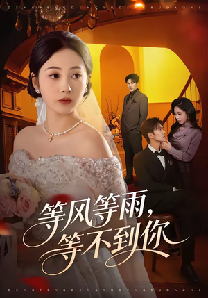 等风等雨，等不到你（65集）好看的短剧电视剧