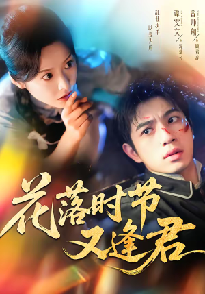 花落时节又逢君（61集）番茄小说免费看短剧