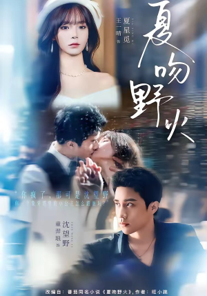 夏吻野火（80集）红果天天免费看短剧