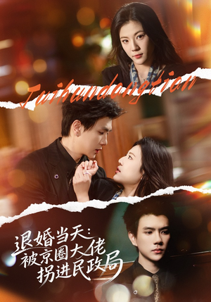 退婚当天：被京圈大佬拐进民政局（80集）精彩短剧继续更新