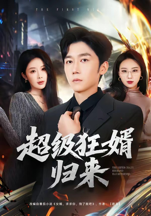 超级狂婿归来（81集）短剧在哪个平台播放