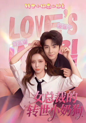 女总裁的转世小奶狗（30集）好看的国产短剧