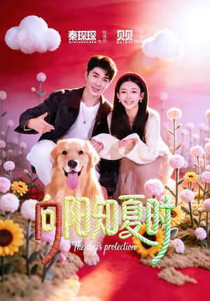 向阳知夏时（80集）短剧完整版大结局