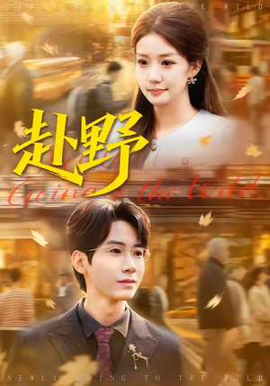 赴野（40集）百看不厌的精彩短剧分享