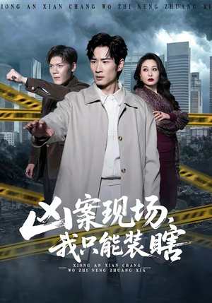 凶案现场，我只能装瞎（72集）免费看全网短剧