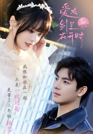 爱在剑兰花开时（56集）免费观看最新热门短剧