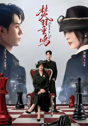 焚羽重鸣（60集）好看的短剧又来了抢先看