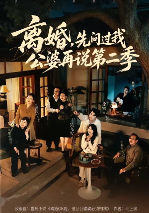 离婚，先问过我公婆再说第二季（90集）最新短剧全集完整版