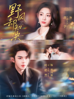 野风却知泱（80集）我的短剧太好看了吧