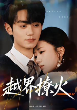 越界撩火（64集）好看又上头的红果短剧