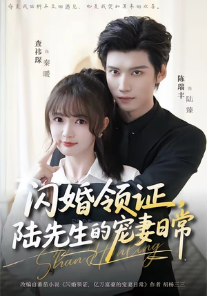 闪婚领证，陆先生的宠妻日常（86集）常回家看看短剧