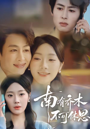 南有乔木，不可休思（68集）终于迎来免费看短剧的福利