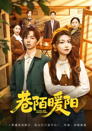 巷陌暖阳（80集）红果免费短剧看全集