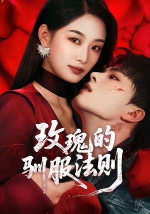 玫瑰的驯服法则（65集）在哪里可以看全集短剧